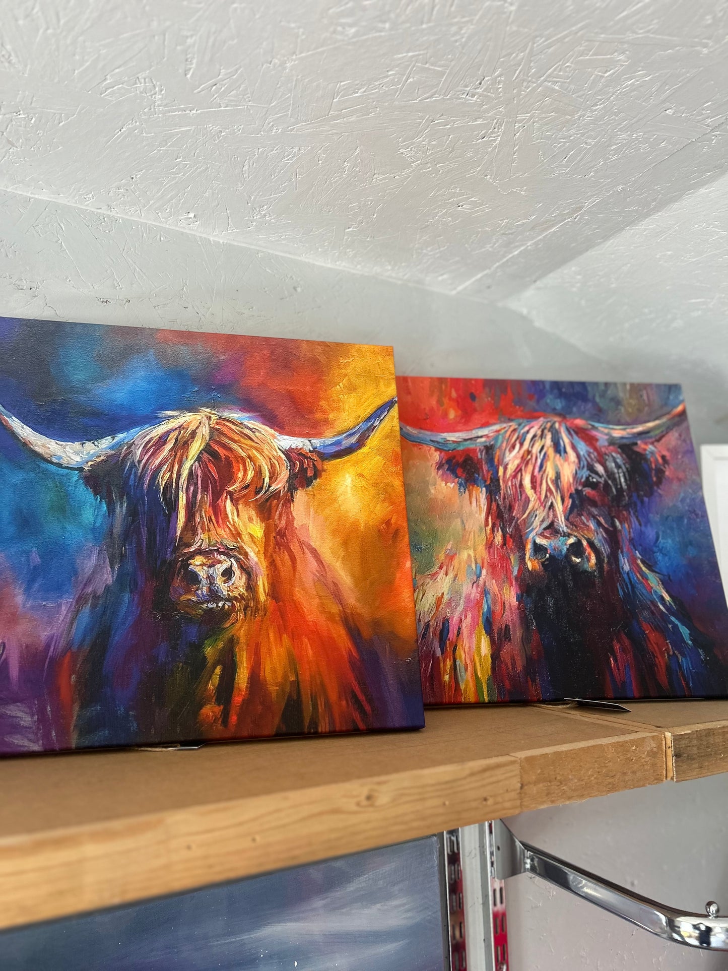 Highland Cow Small Canvas
