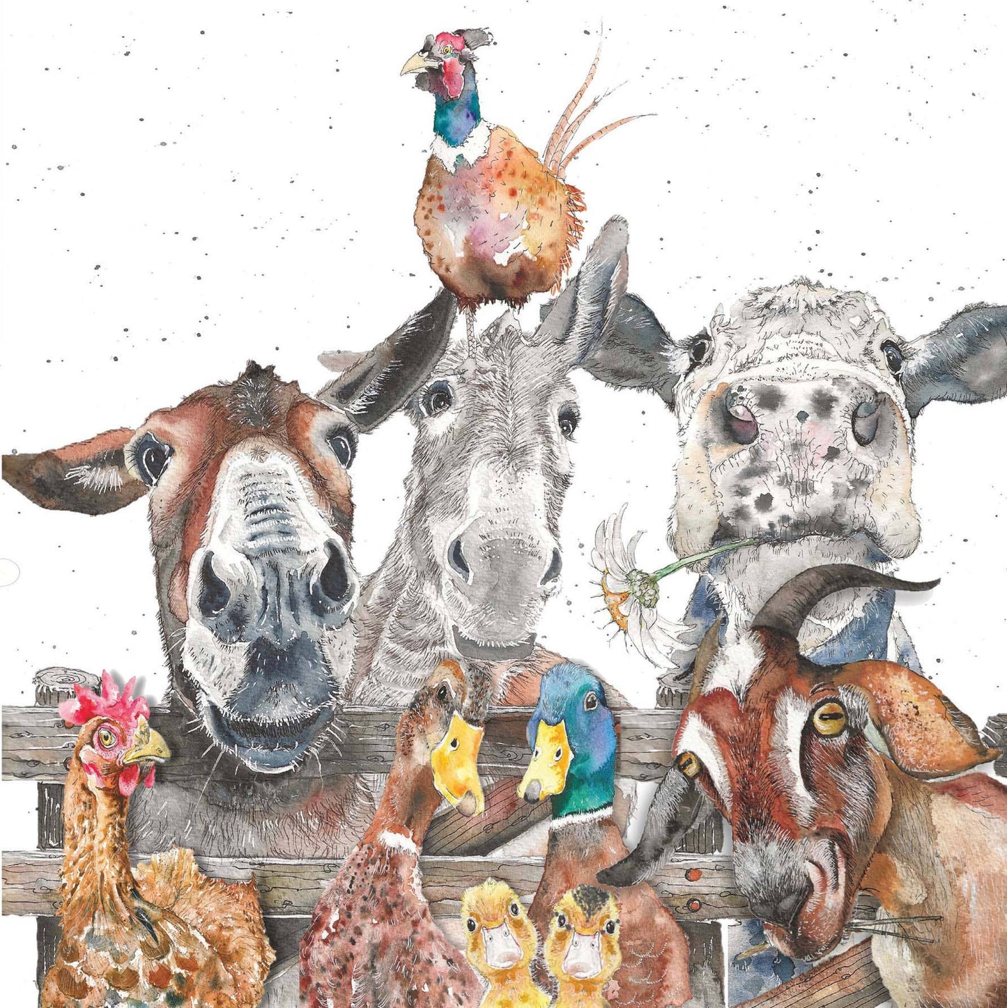 "Farmyard" greeting card - Bluebell and Willow