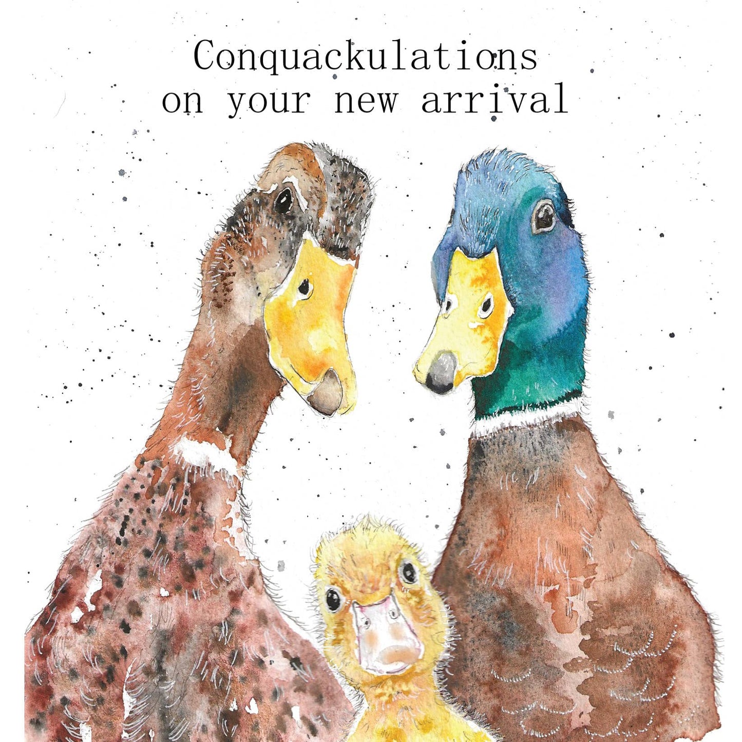 "Conquackulations" Ducks New Baby Card - Bluebell and Willow