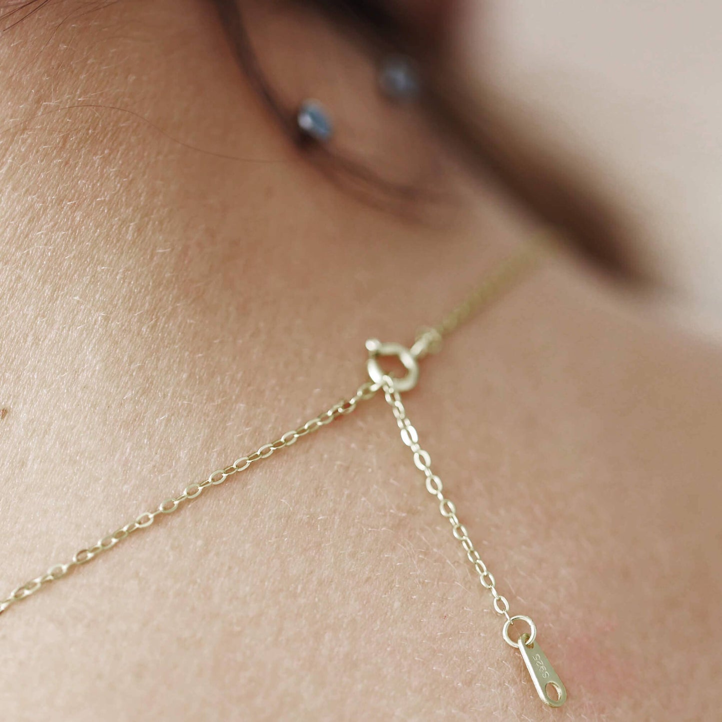 Sterling Silver Delicate Crystal Horseshoe Necklace