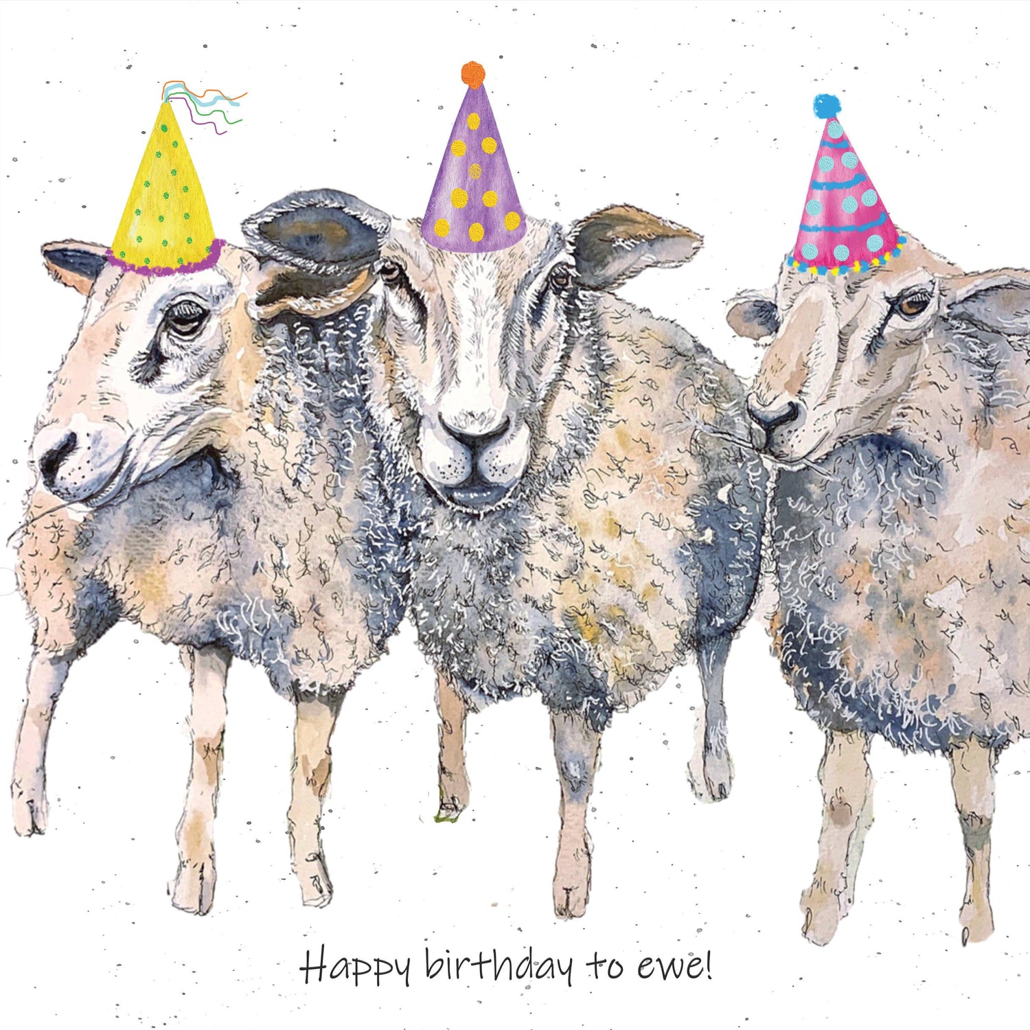 Sheep birthday card "Happy birthday to ewe" - Bluebell and Willow