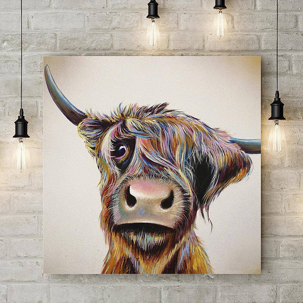 A Bad Hair Day Highland Cow small Canvas