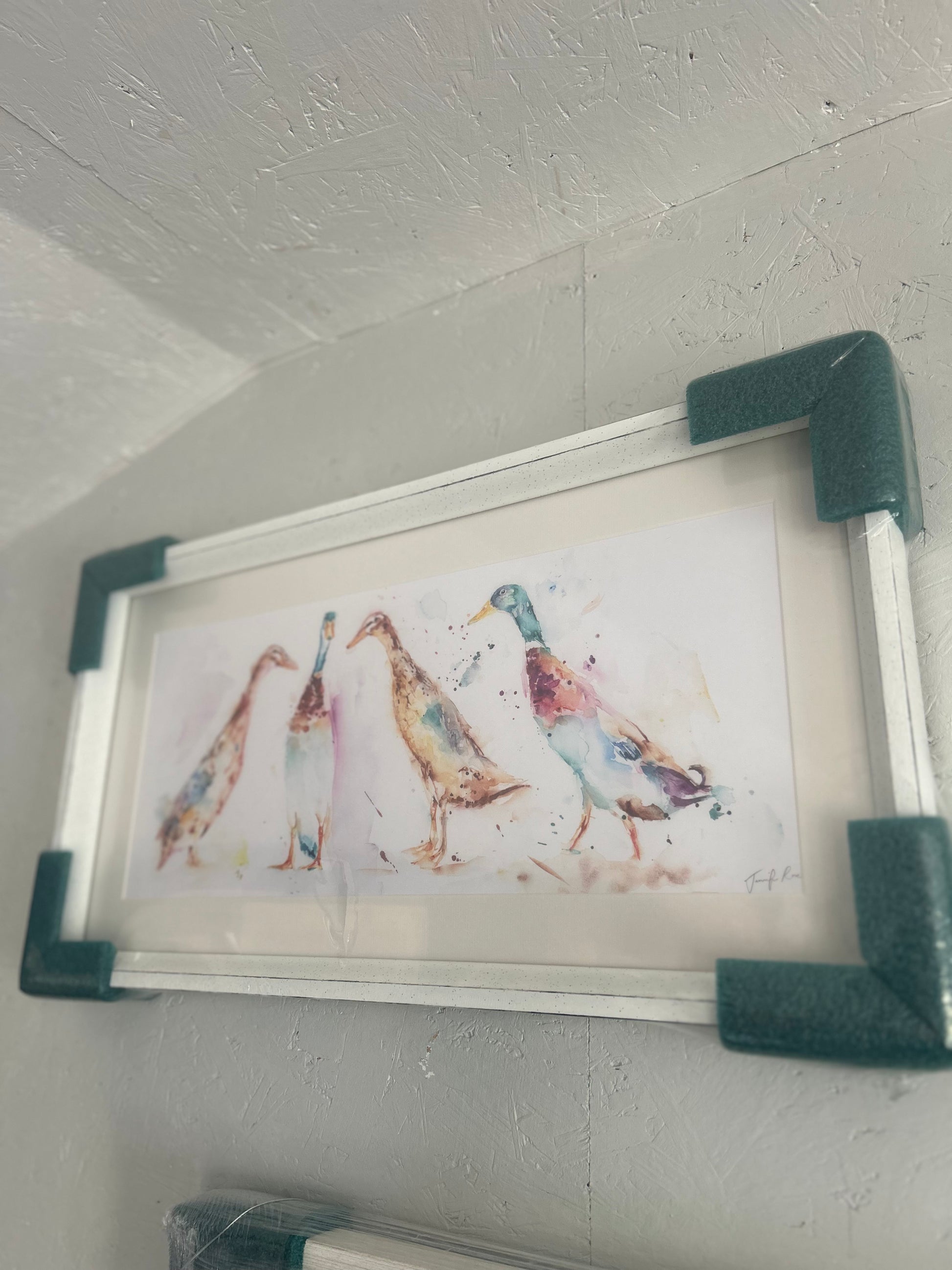 Runner Ducks - Bluebell and Willow
