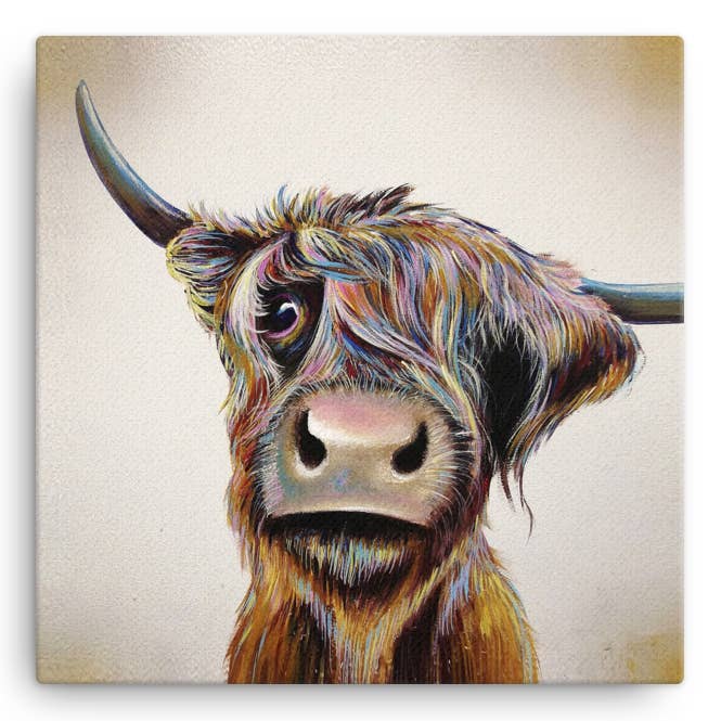 A Bad Hair Day Highland Cow small Canvas