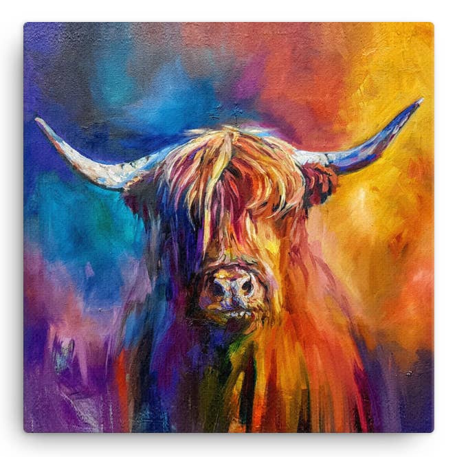 Harris Highland Cow Small Canvas