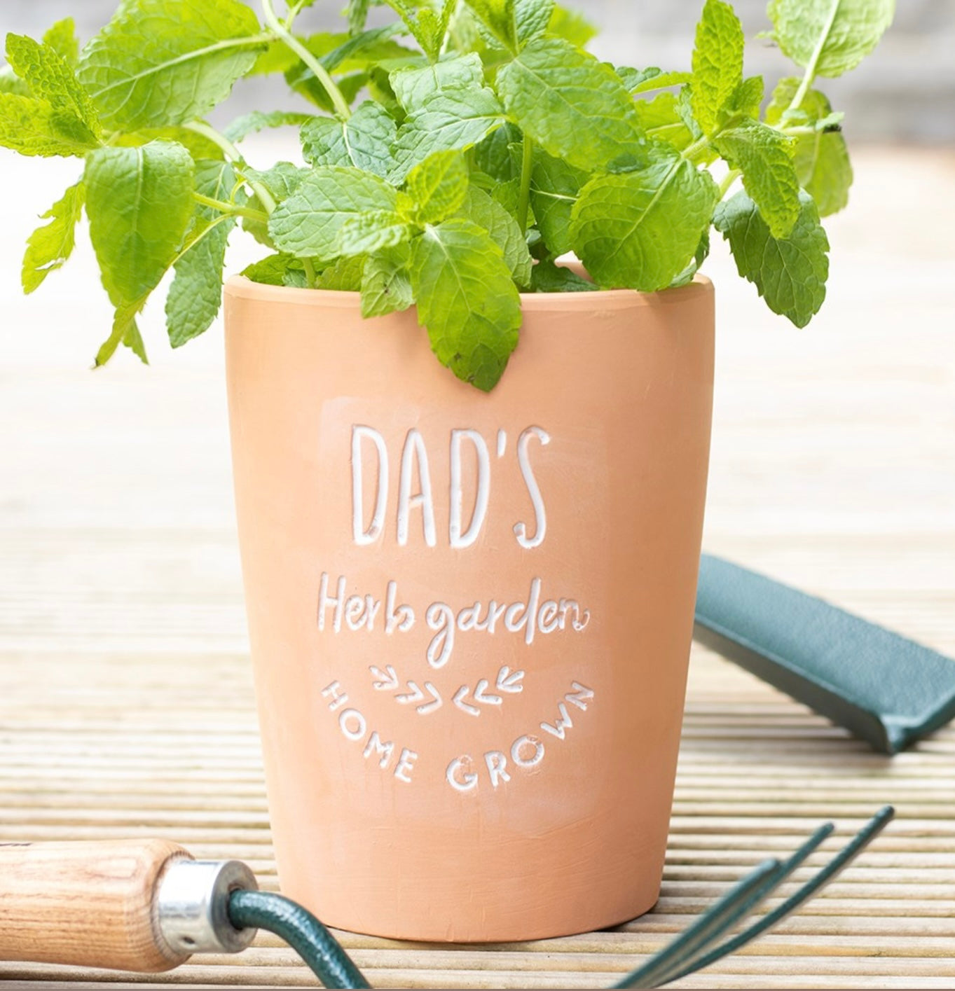 Terracotta Dad’s Herb Garden Planter - Bluebell and Willow